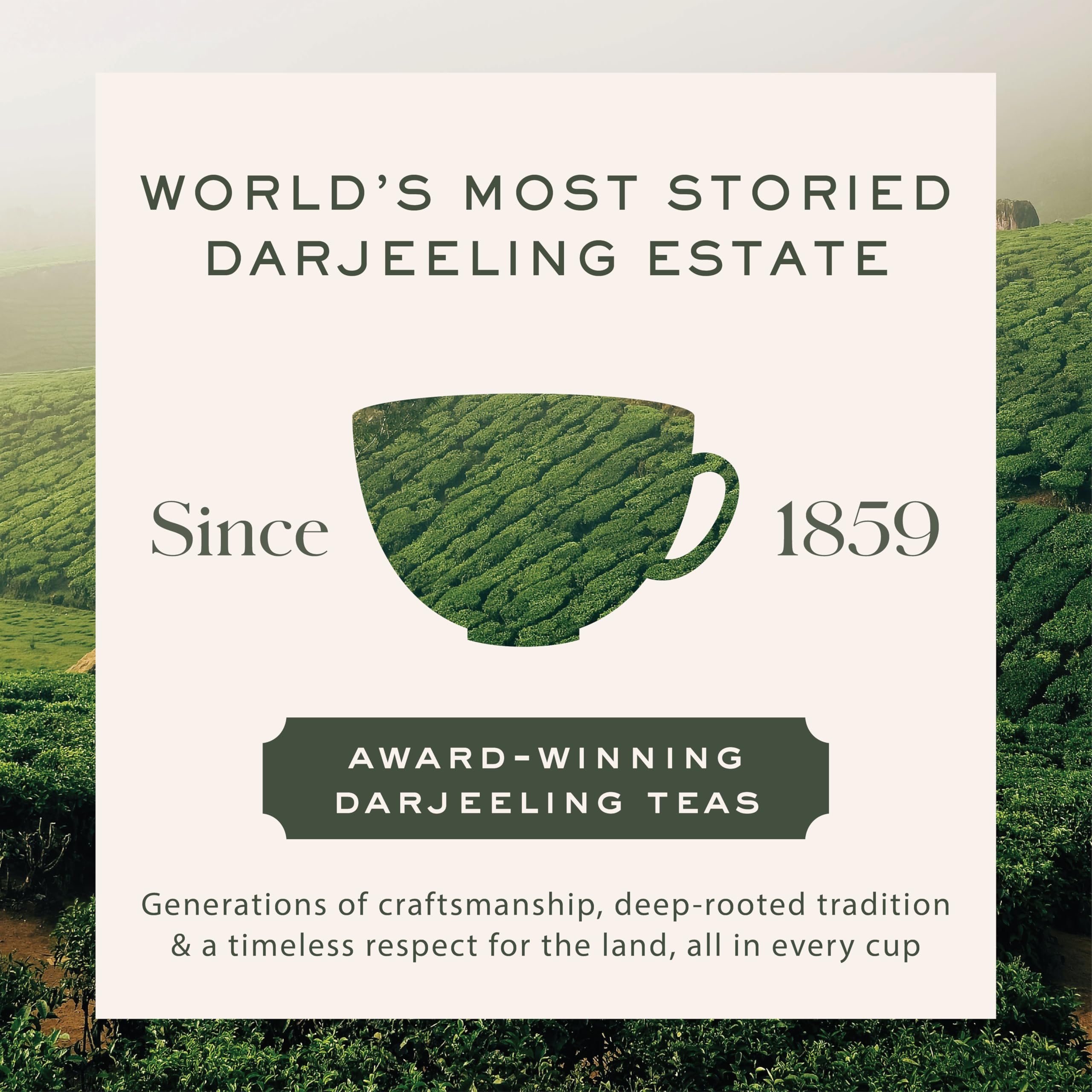 Makaibari Himalayan Spring cup during steeping shows a light, clear infusion color.