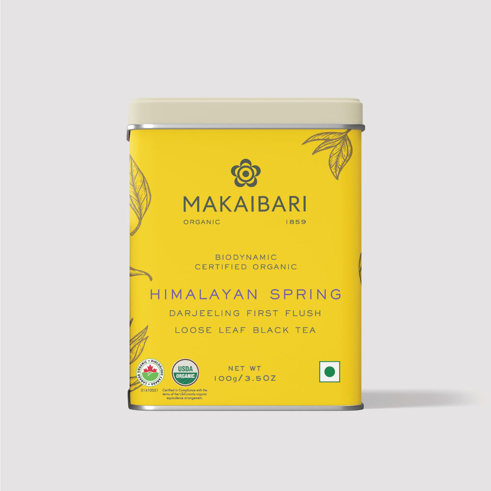 Makaibari Himalayan Spring first flush tea leaves offering fresh spring aroma for a delicate cup.