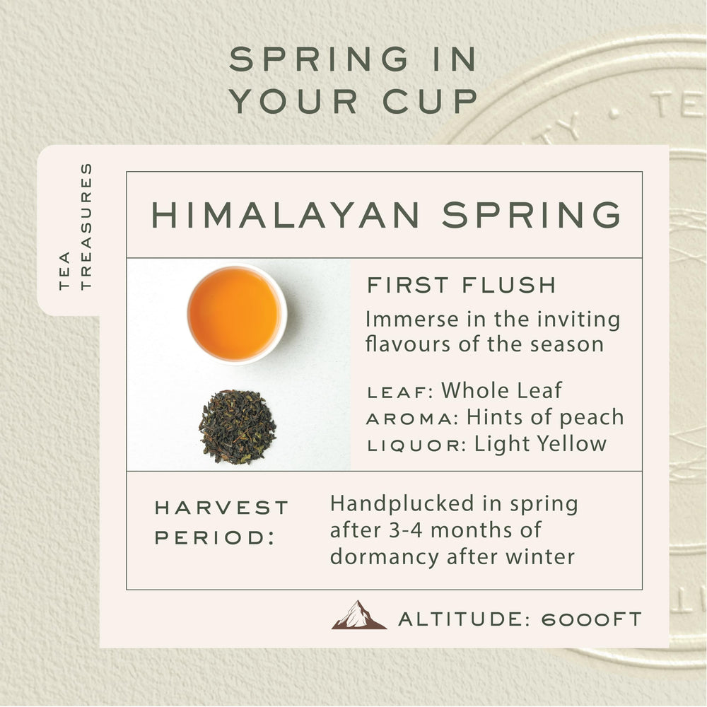 Makaibari Himalayan Spring loose leaf tea ready for a refined, gentle brew.