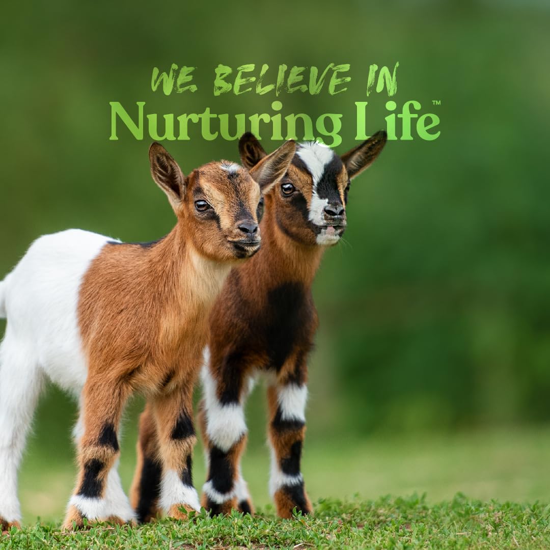 Manna Pro Goat Kid Milk Replacer 8 lb bag ensures trusted, convenient supply for small farms.
