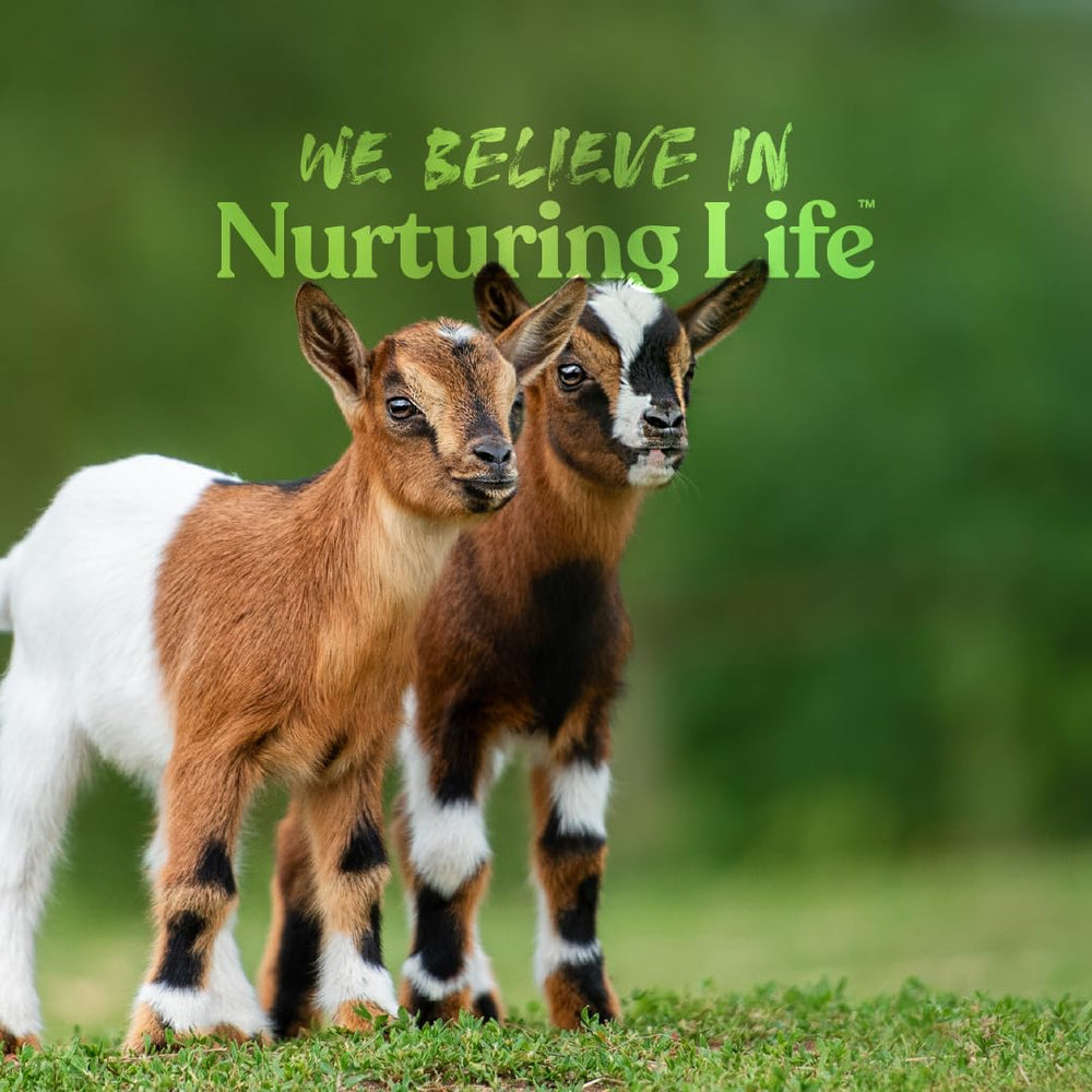 Manna Pro Goat Kid Milk Replacer 8 lb bag ensures trusted, convenient supply for small farms.
