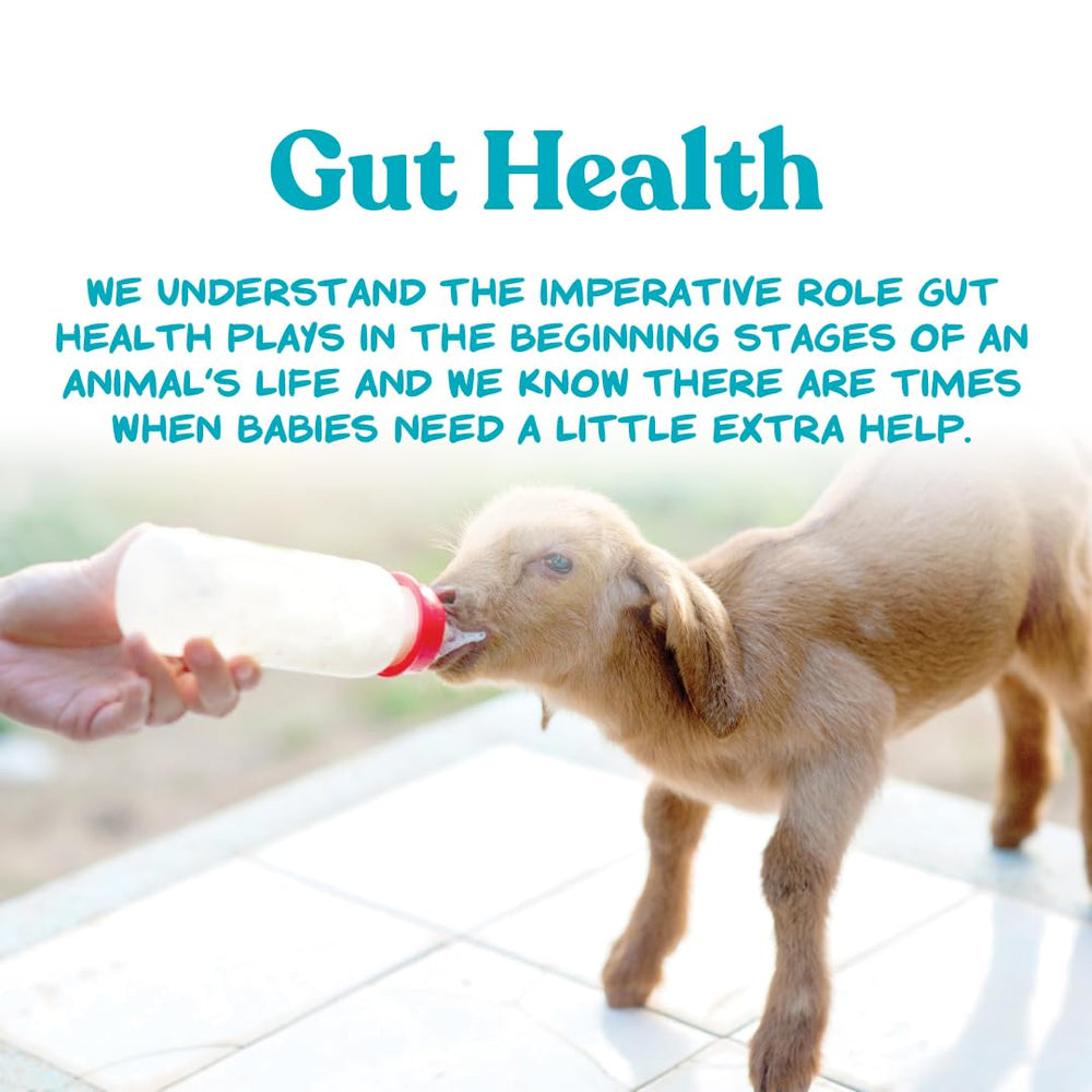 Manna Pro Goat Kid Milk Replacer day-two through weaning supports early growth milestones.