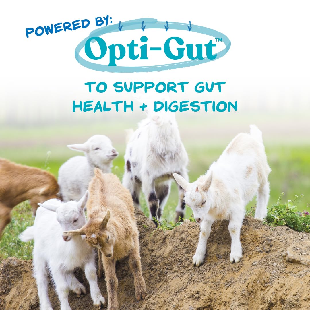 Manna Pro Goat Kid Milk Replacer nutrition facts highlight high protein and fat for energy.