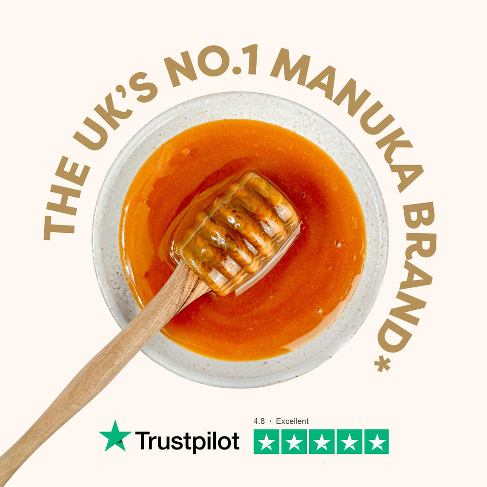 Extraction facility scene from Manuka Doctor honey processing.