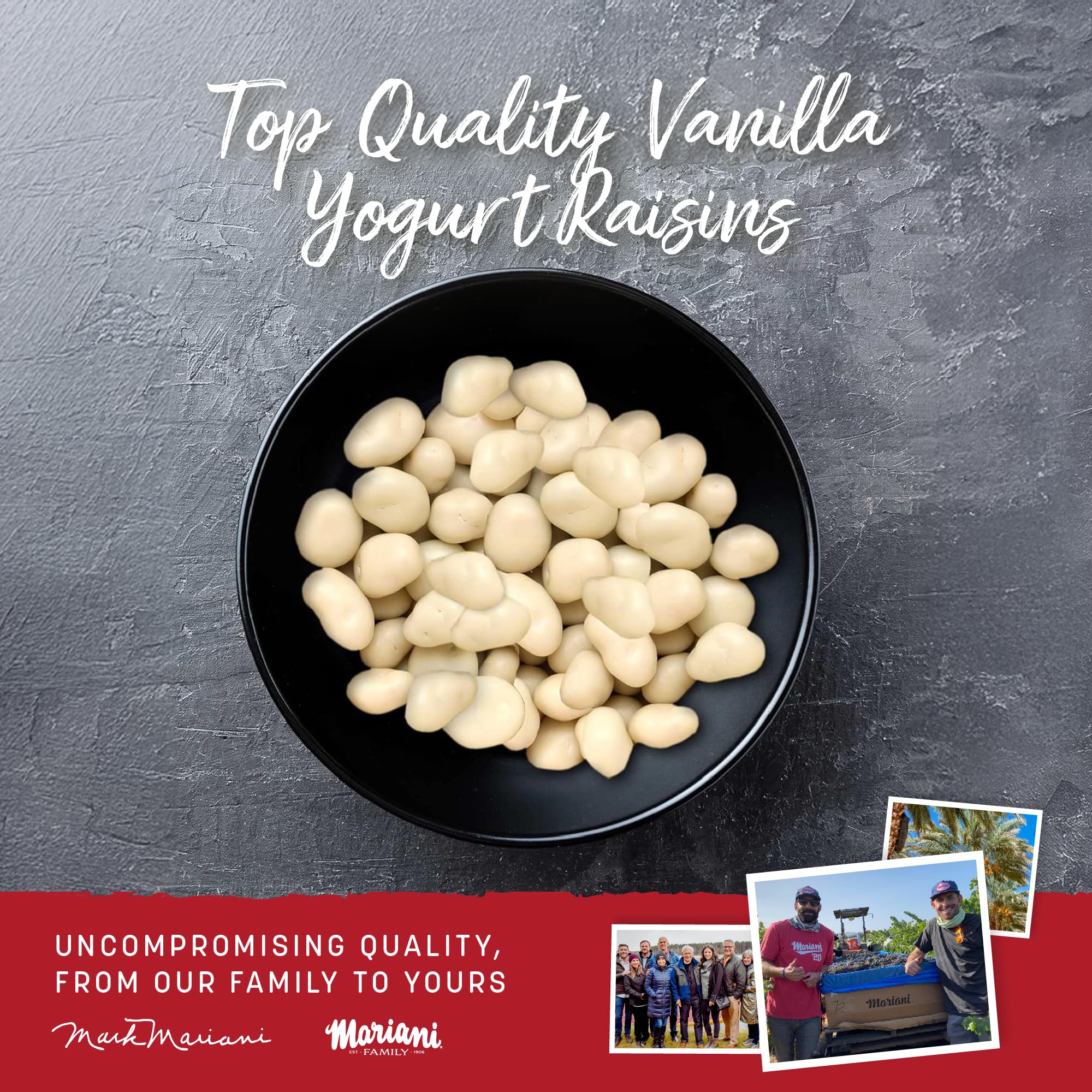 Mariani Vanilla Yogurt Covered Raisins texture close-up emphasizes smooth coating and plump raisins