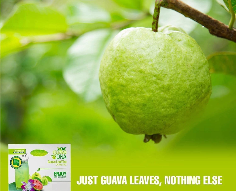 MATCHA DNA Guava Leaf Tea Packaging Closeup—sustainably sourced leaves.