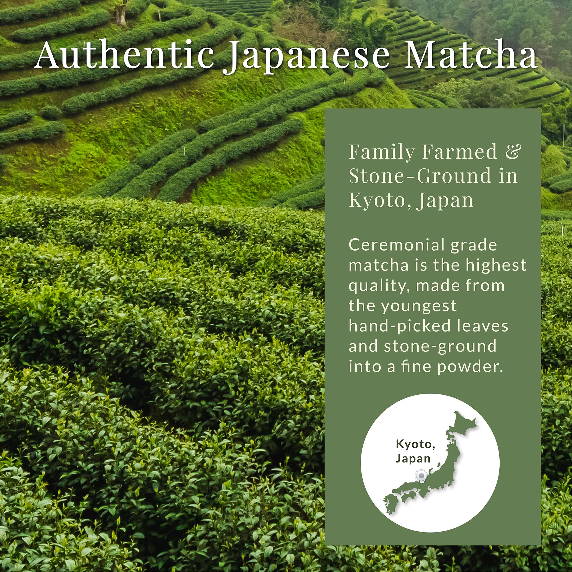 Matcha Sunday 50g bag storage preserves aroma and freshness.