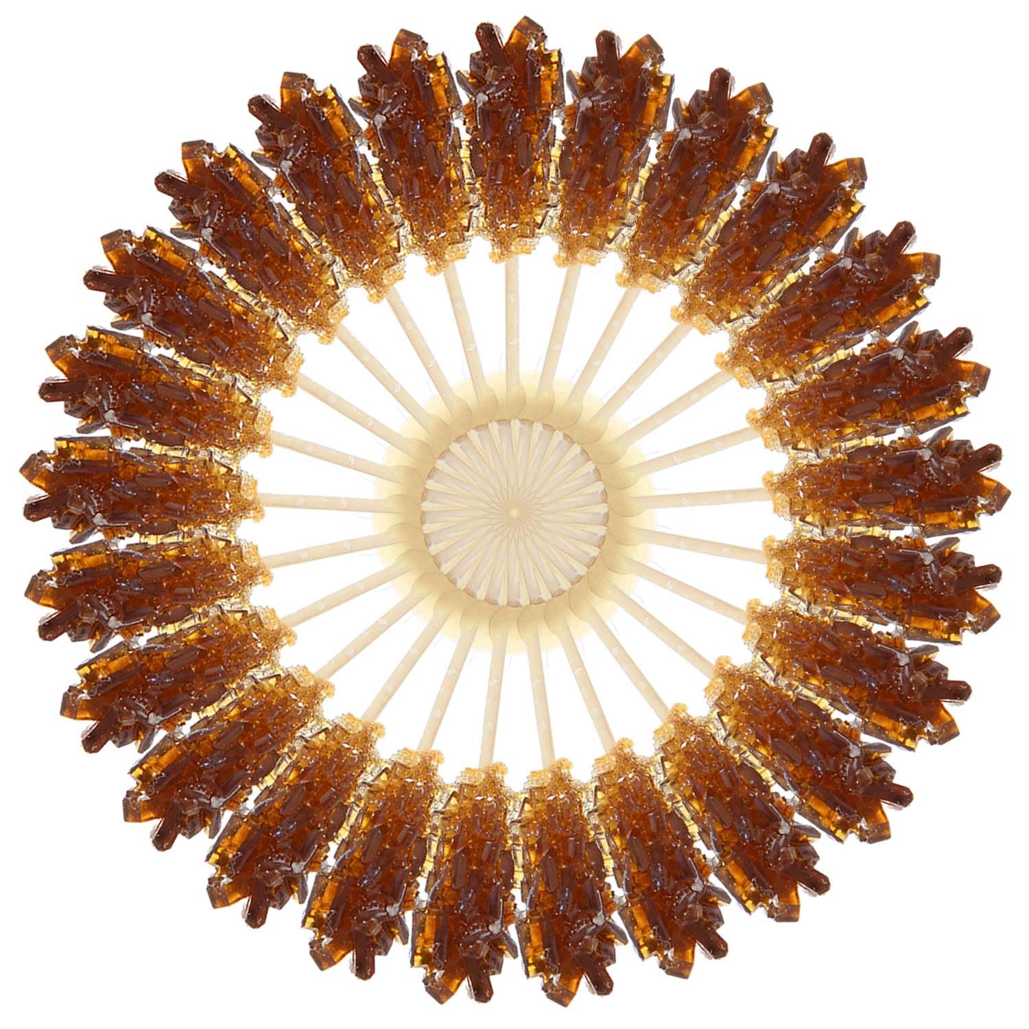 Matchaccino brown sugar sticks crystal close-up for refined sweetness.