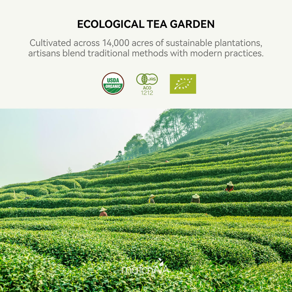 MatchAiA stone-ground process preserves nutrients and peak freshness