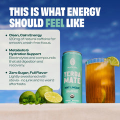 12-pack Mateina display showing convenient on-the-go energy