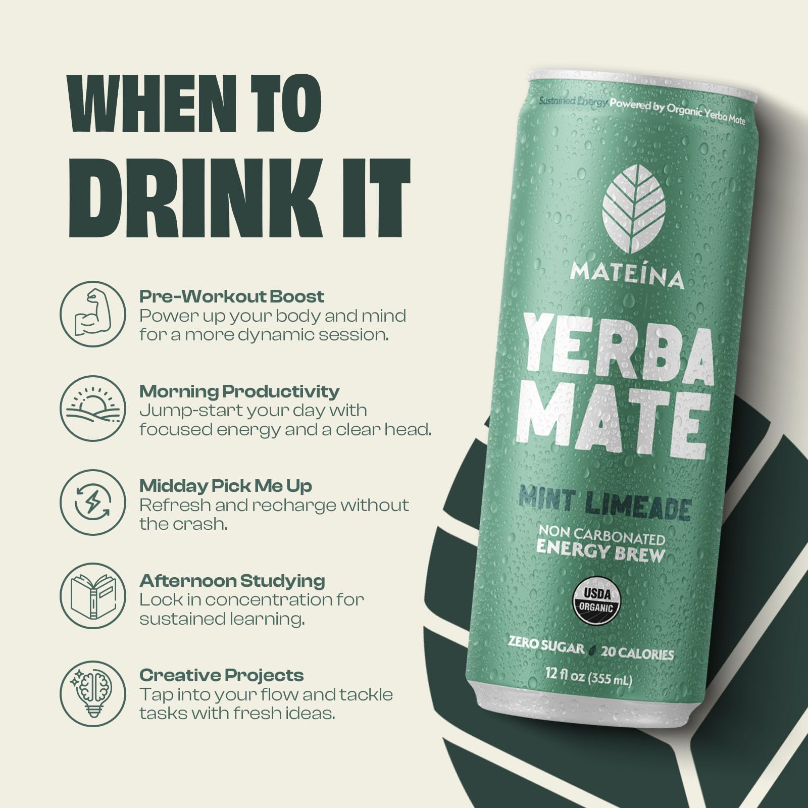 Organic yerba mate illustration emphasizing purity in Mateina