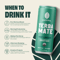 Organic yerba mate illustration emphasizing purity in Mateina