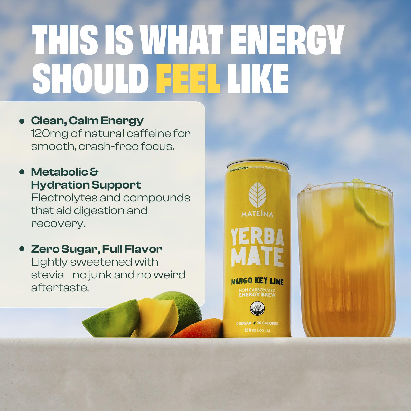 Mateina Yerba Mate Zero Sugar can label closeup highlights organic, pure ingredients