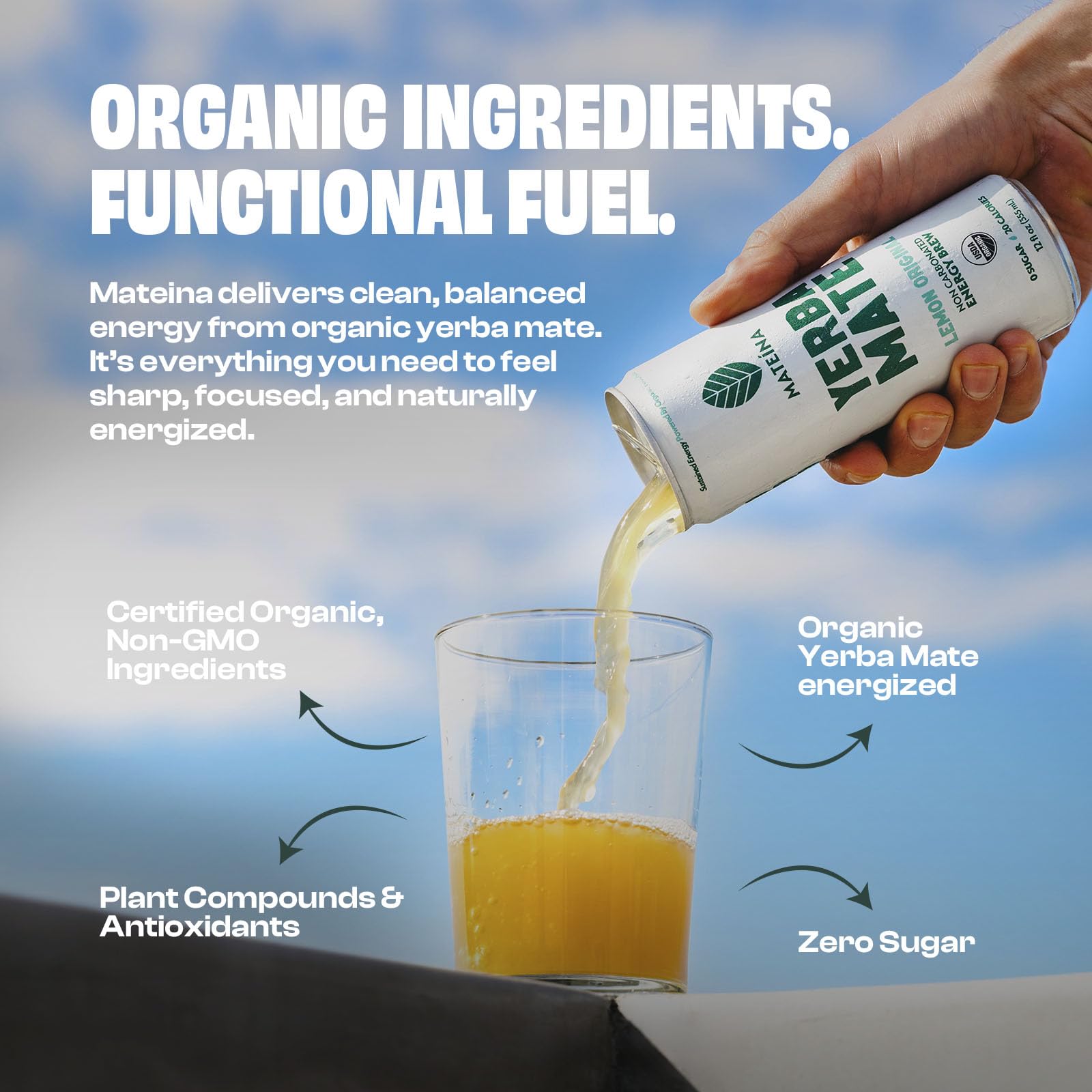 Mateina Yerba Mate Zero Sugar energy drink; 120mg caffeine for focused work