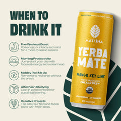 Mateina Yerba Mate packaging and ingredients list signal clean, trusted energy