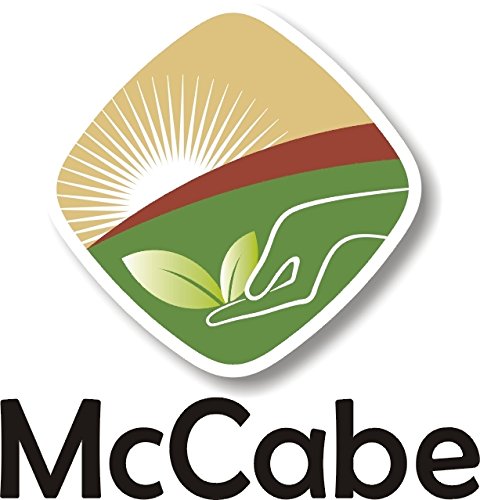 McCabe Organic Sweet Rice Flour bag on counter for gluten-free desserts and snacks.