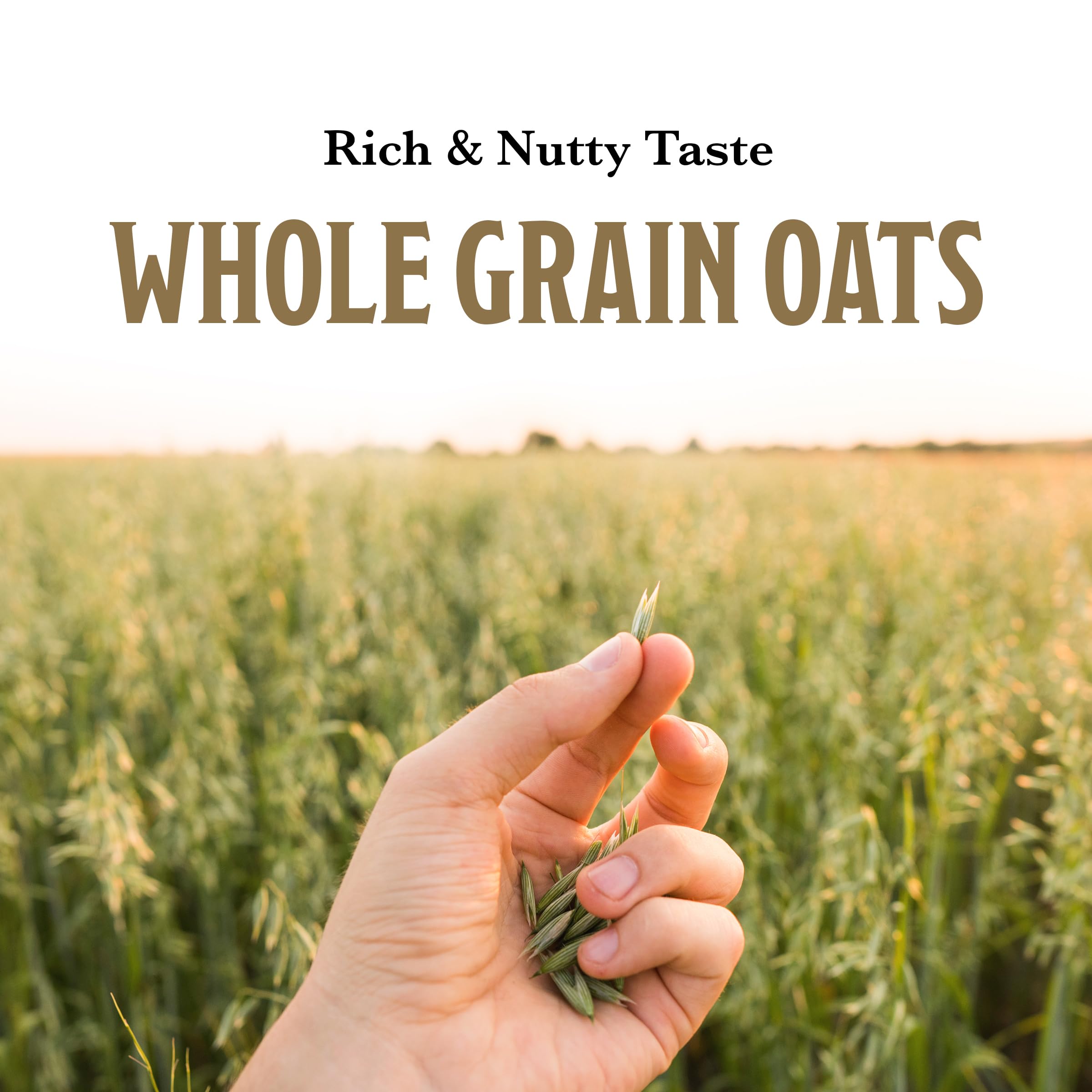 Kosher-certified McCann's Oatmeal label on the package.