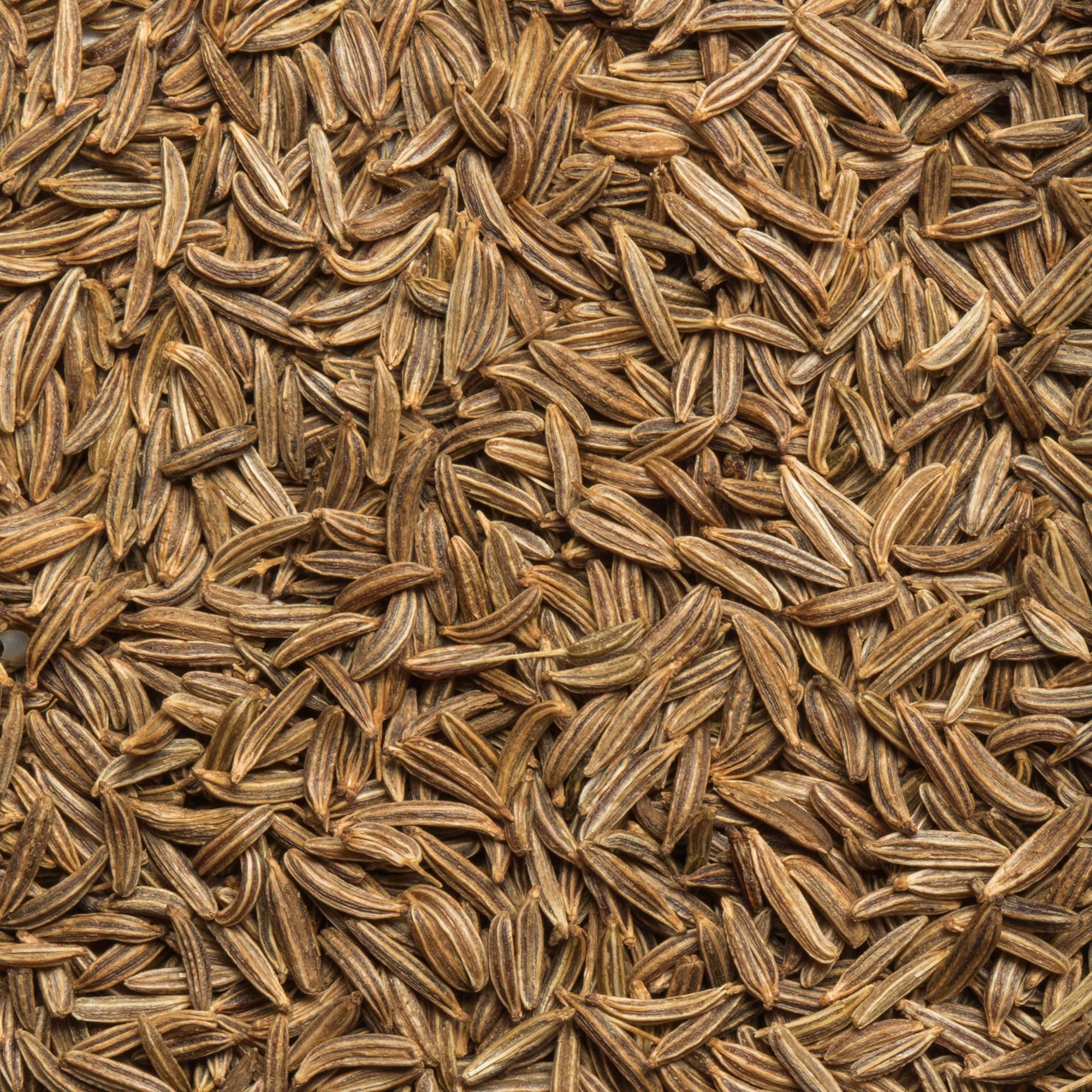 Caraway spice cabinet highlights versatility for cabbage dishes and pork.