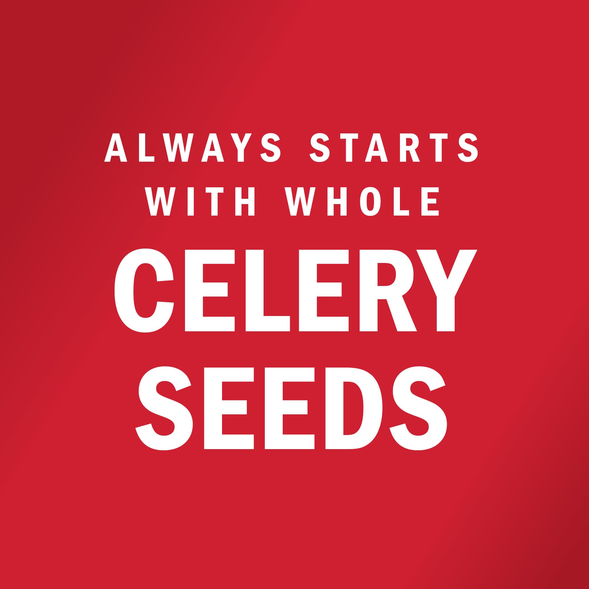 McCormick Celery Salt being sprinkled over a fresh salad for brightness.