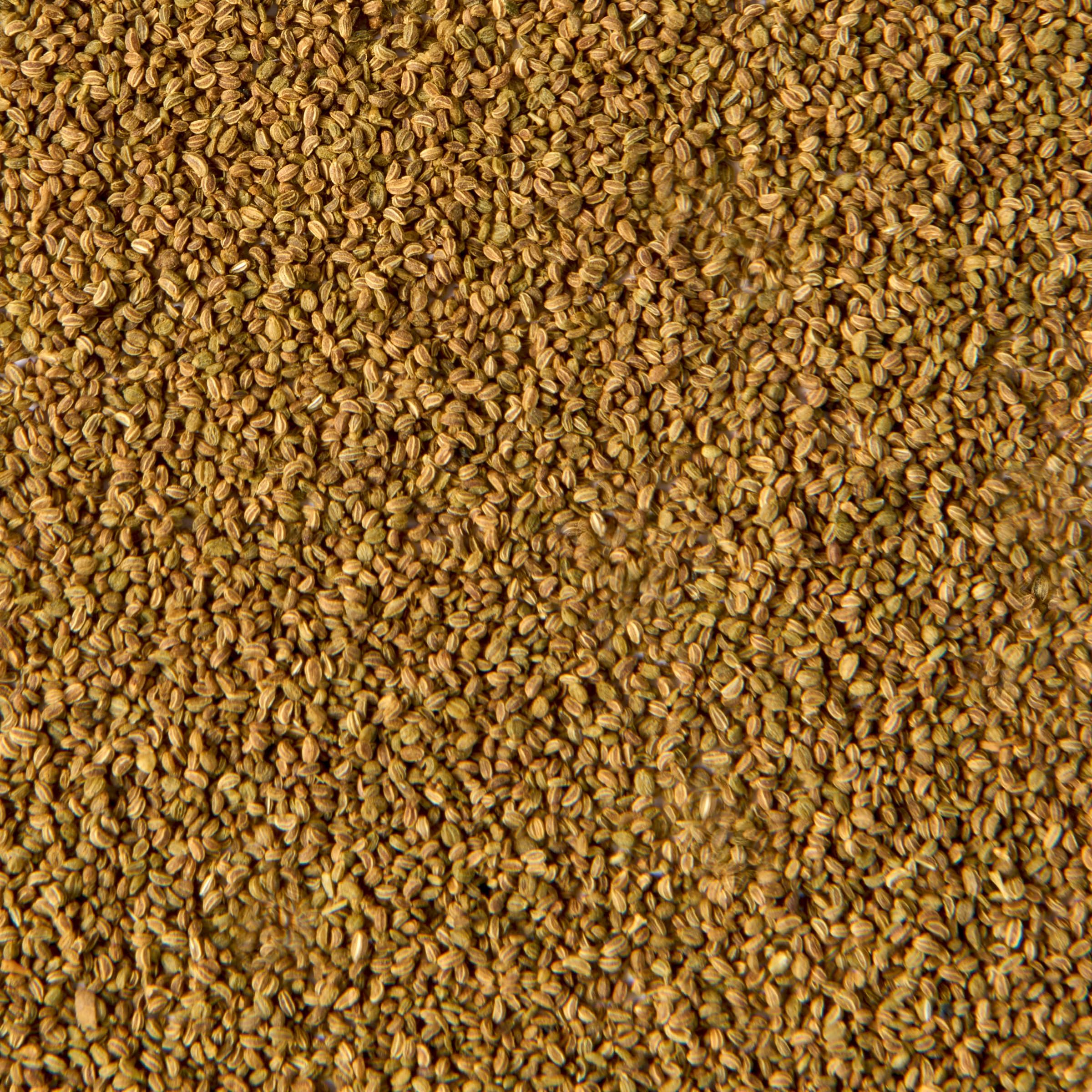 McCormick Gourmet Celery Seed as a spice rub component for meats