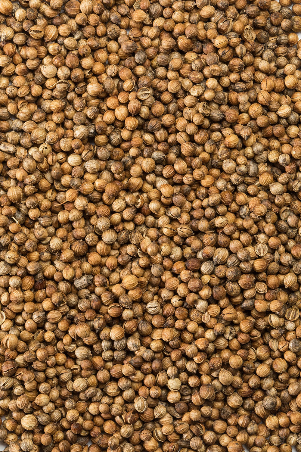 Cookware-ready arrangement with McCormick Gourmet Organic Coriander Seed for sauces and stews.