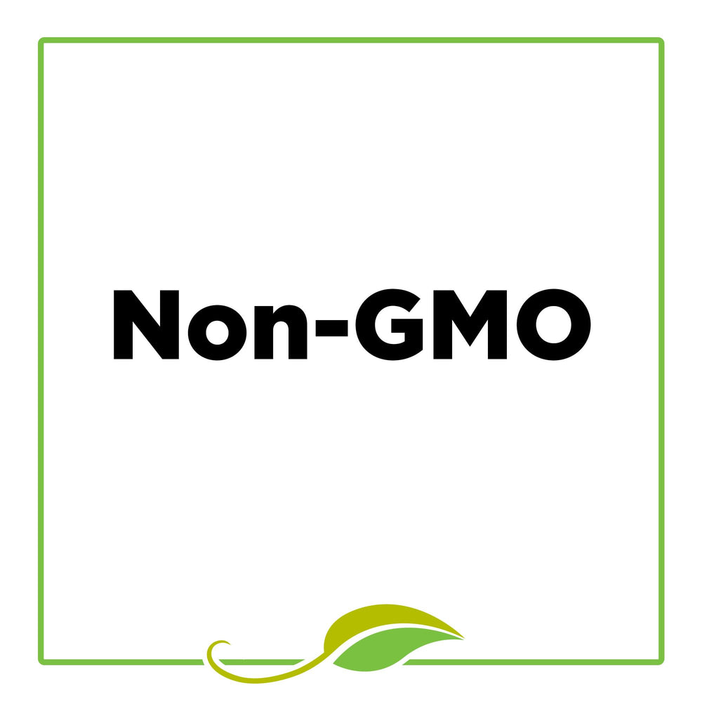 Italian pizza and pasta dishes enhanced by marjoram flavor