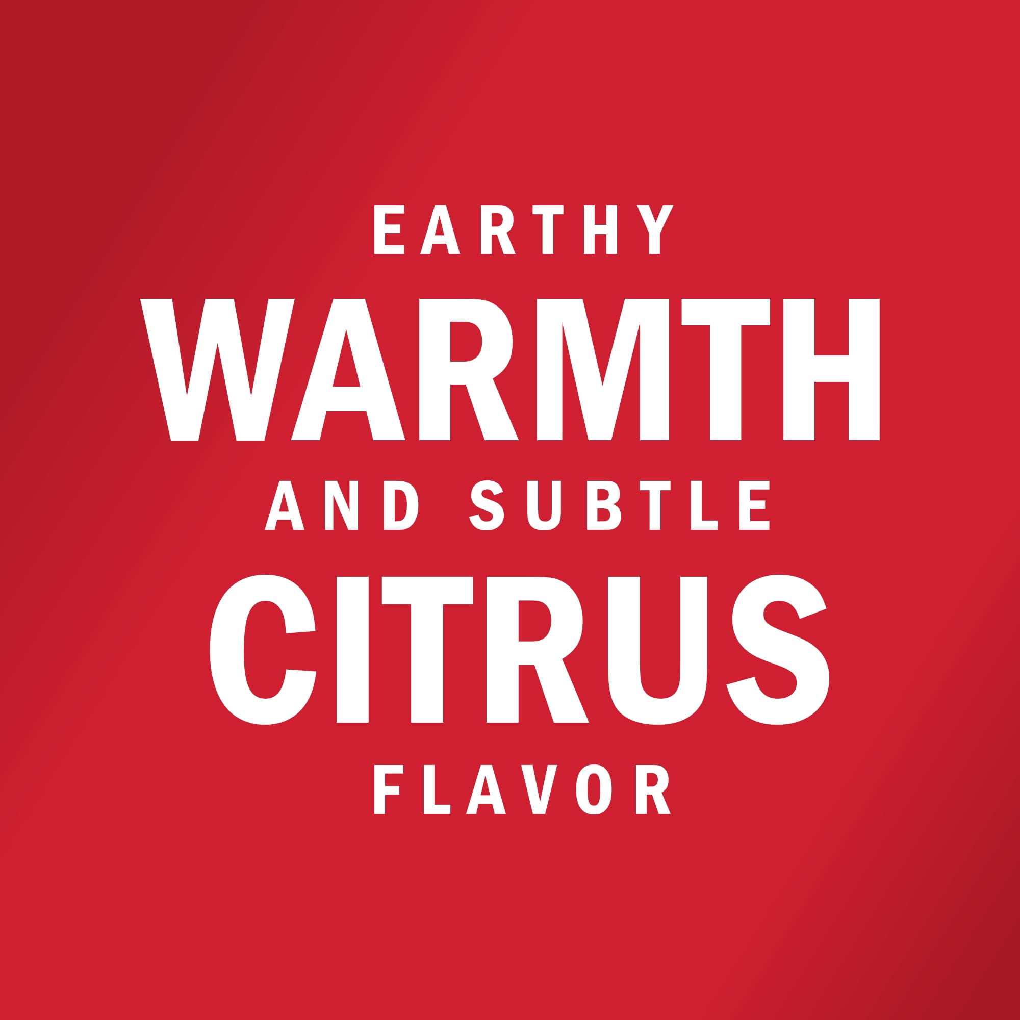 McCormick Ground Cumin chili bowl conveys depth and aroma in hearty stews.