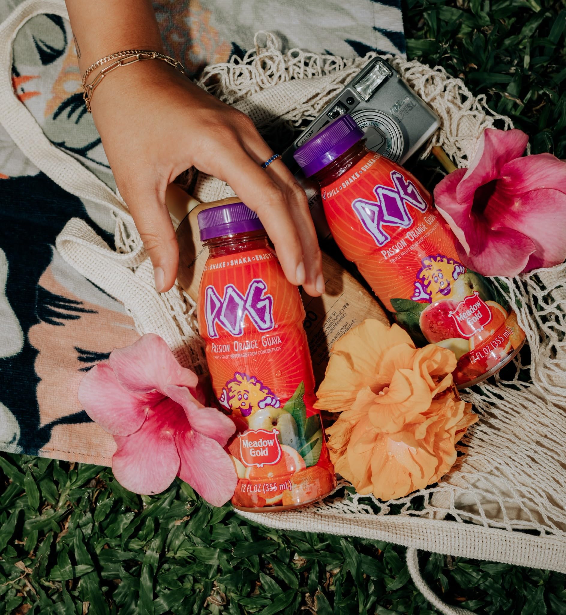 Meadow Gold Pog Juice 6-pack case displayed for convenient, portable tropical flavor.