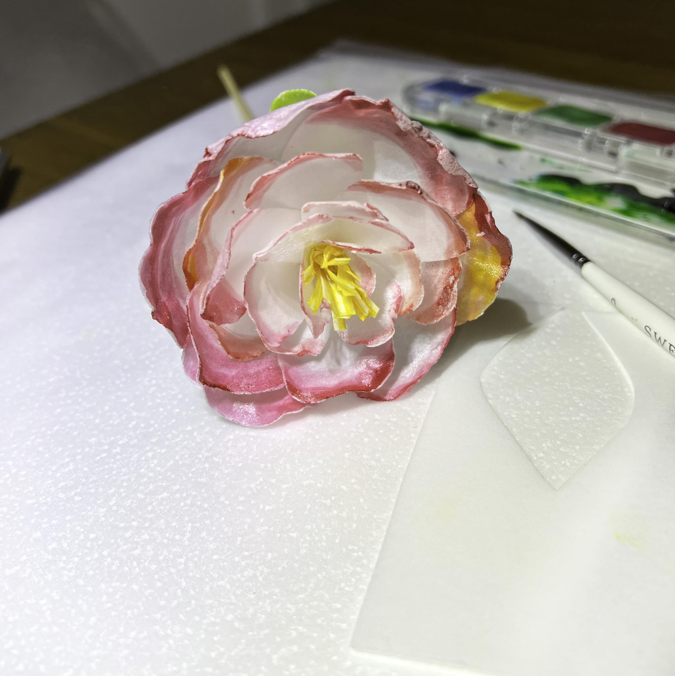 MeganJDesigns wafer paper enables delicate edible decorations.