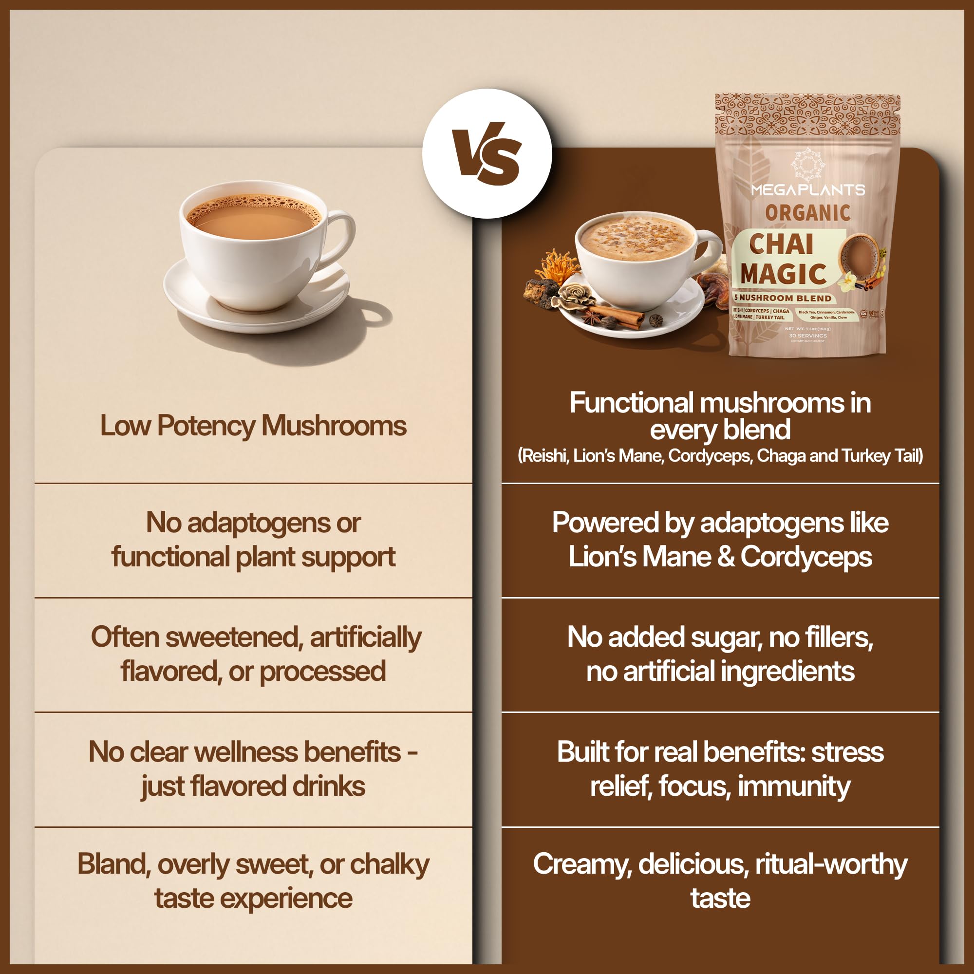 MEGAPLANTS Chai Magic authentic masala spice notes in cup