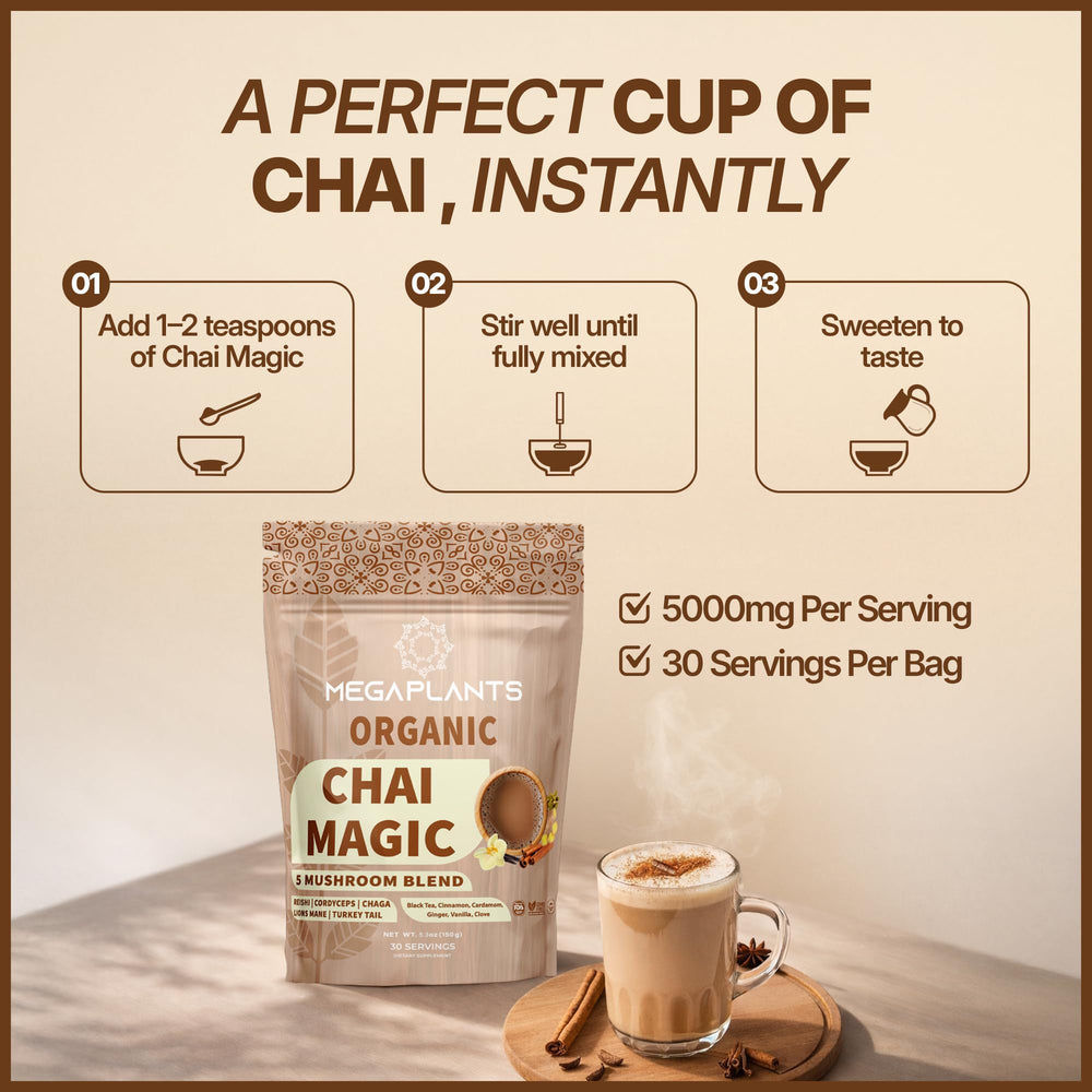 MEGAPLANTS Chai Magic ingredients with organic mushrooms and spices