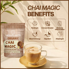 MEGAPLANTS Chai Magic tea blend steeping for aroma
