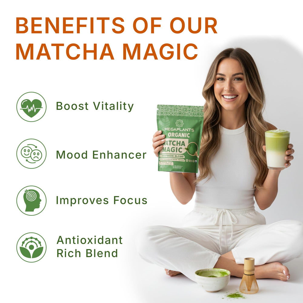 MEGAPLANTS Mushroom Matcha Magic powder close-up highlighting vibrant jade hue