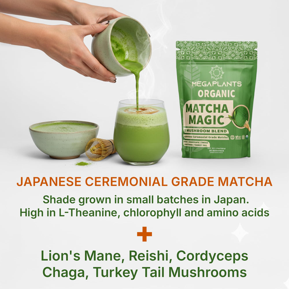 MEGAPLANTS Mushroom Matcha Magic smoothie image for quick morning boost
