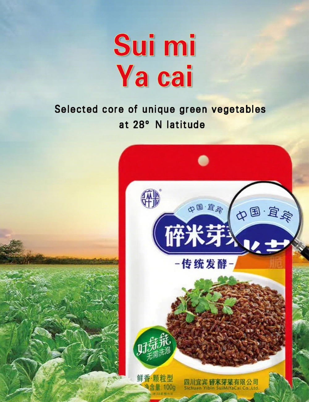 Mentangzhao Suimiyacai triple-washed-grit-free greens for clean prep