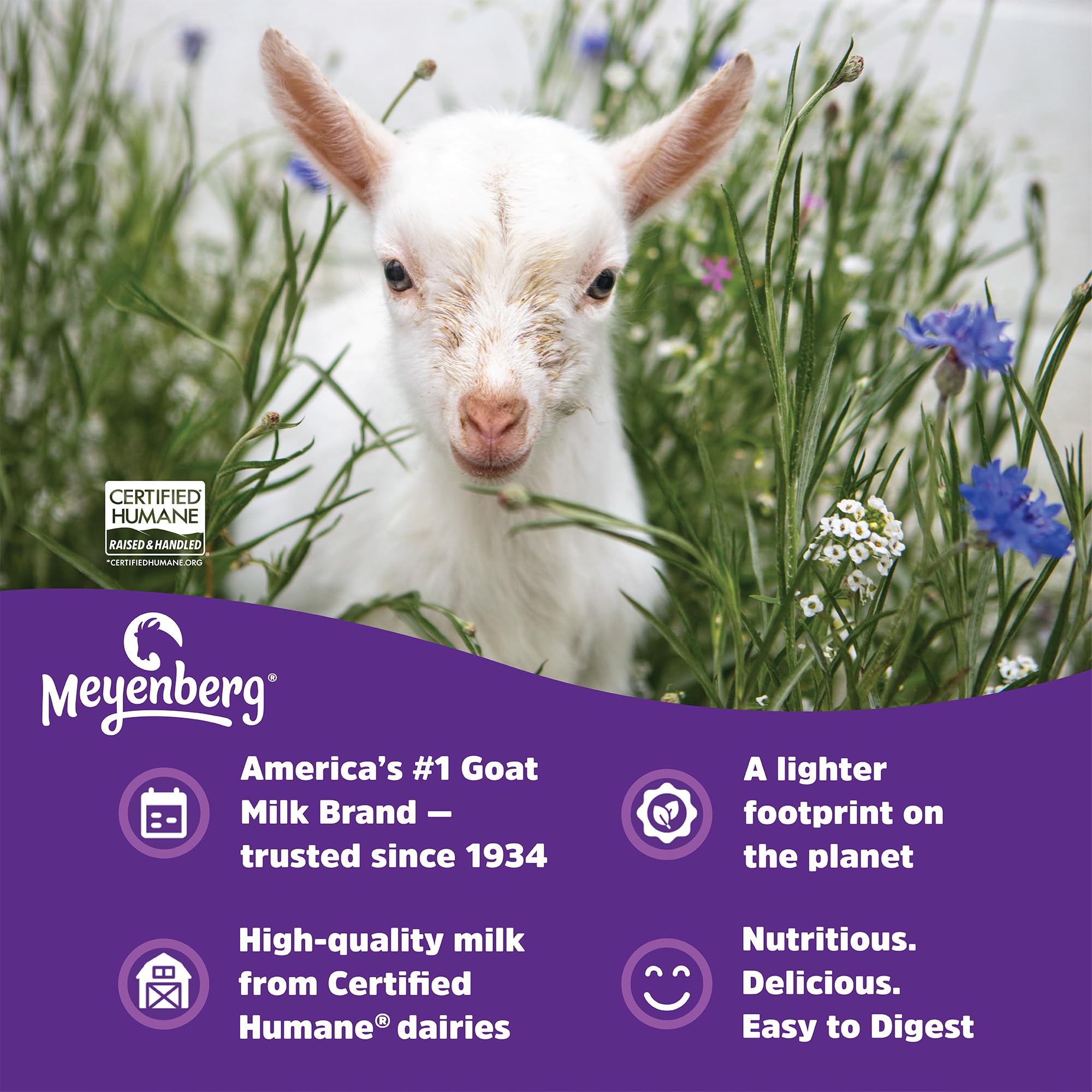 Meyenberg seals indicate kosher and gluten-free status on packaging.