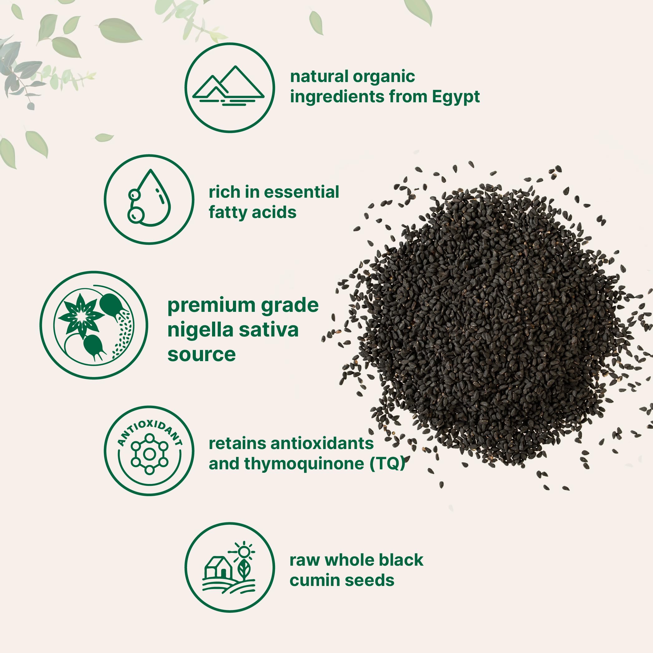 Micro Ingredients black cumin seeds in a baking dish for versatile seasoning