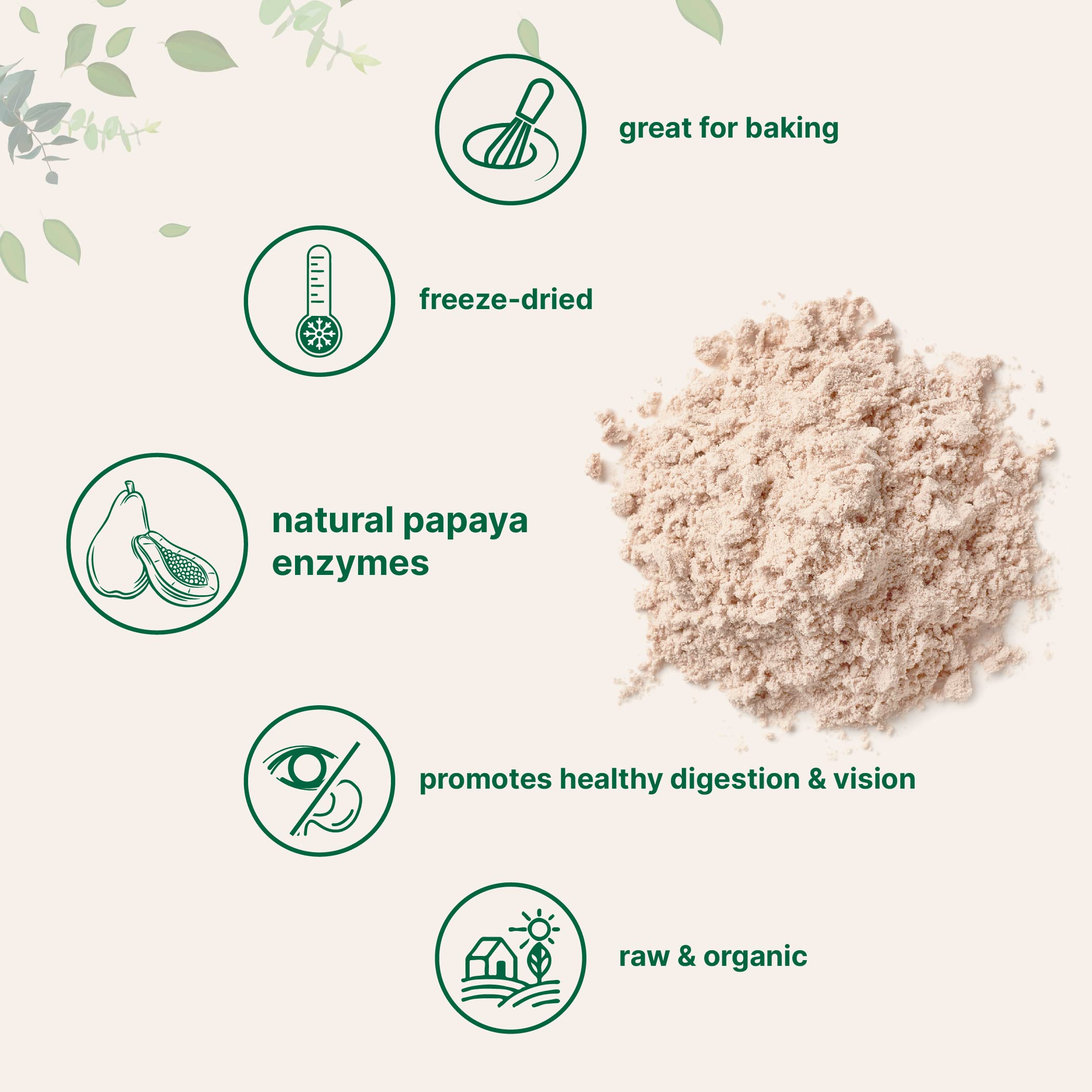 Micro Ingredients Papaya Powder in a shake supports quick digestion