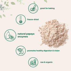Micro Ingredients Papaya Powder in a shake supports quick digestion