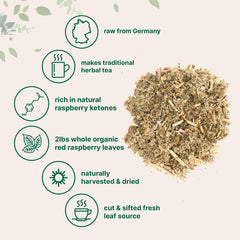 Micro Ingredients German-origin raspberry leaf tea leaves highlighting premium sourcing from Germany