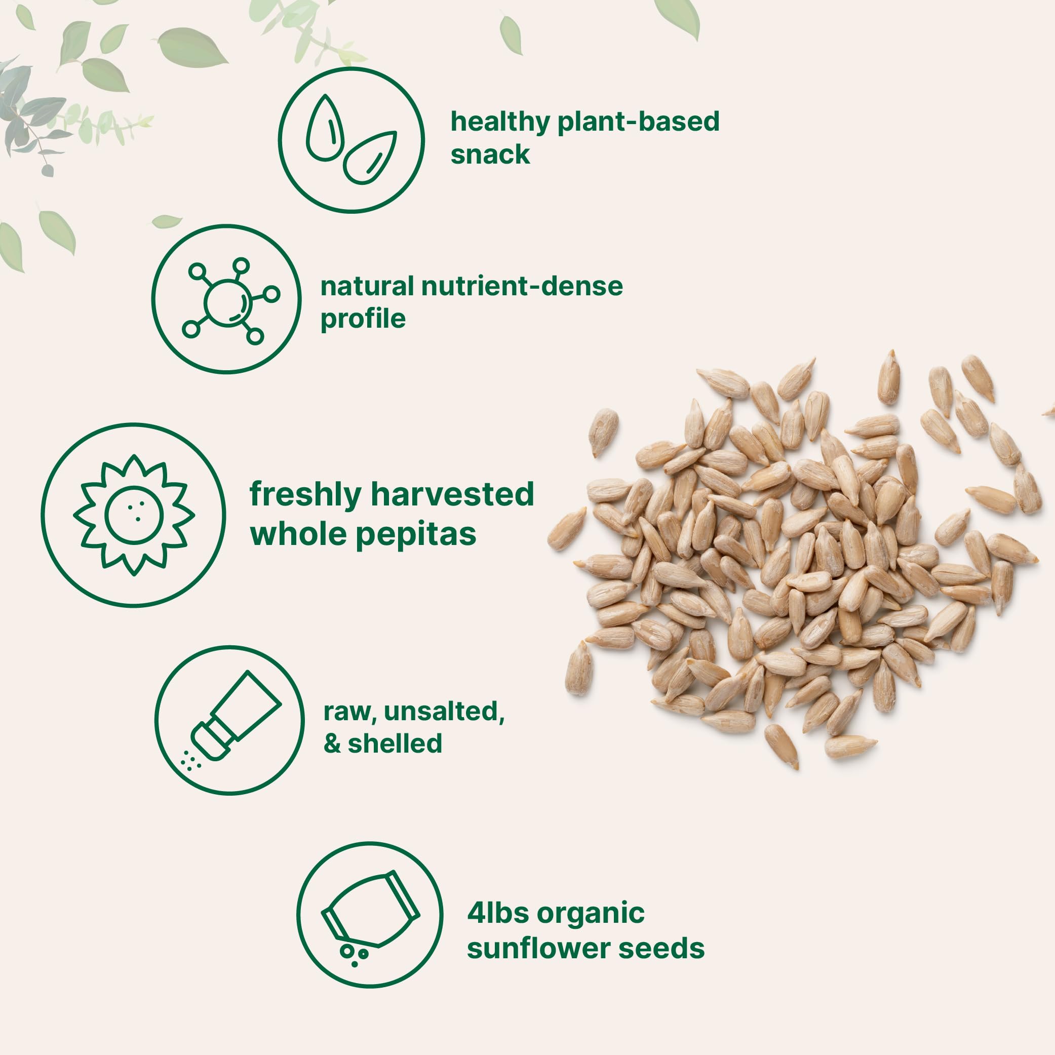Micro Ingredients Sunflower Seeds kitchen uses for smoothies and salads.