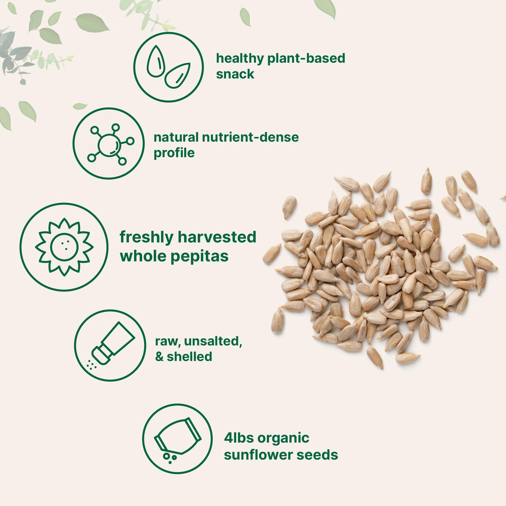 Micro Ingredients Sunflower Seeds kitchen uses for smoothies and salads.