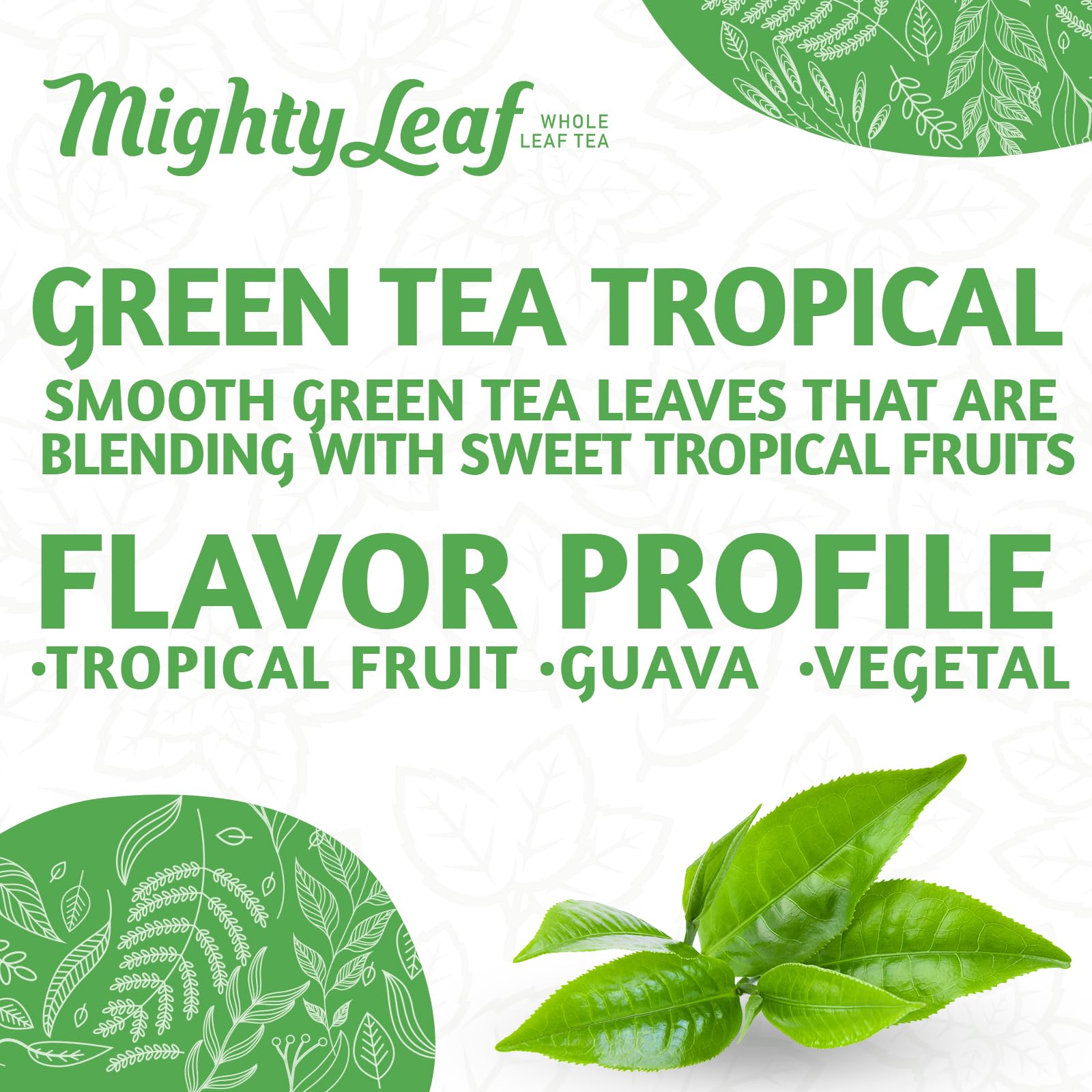 Mighty Leaf Green Tea Tropical floral hints for calm moments.
