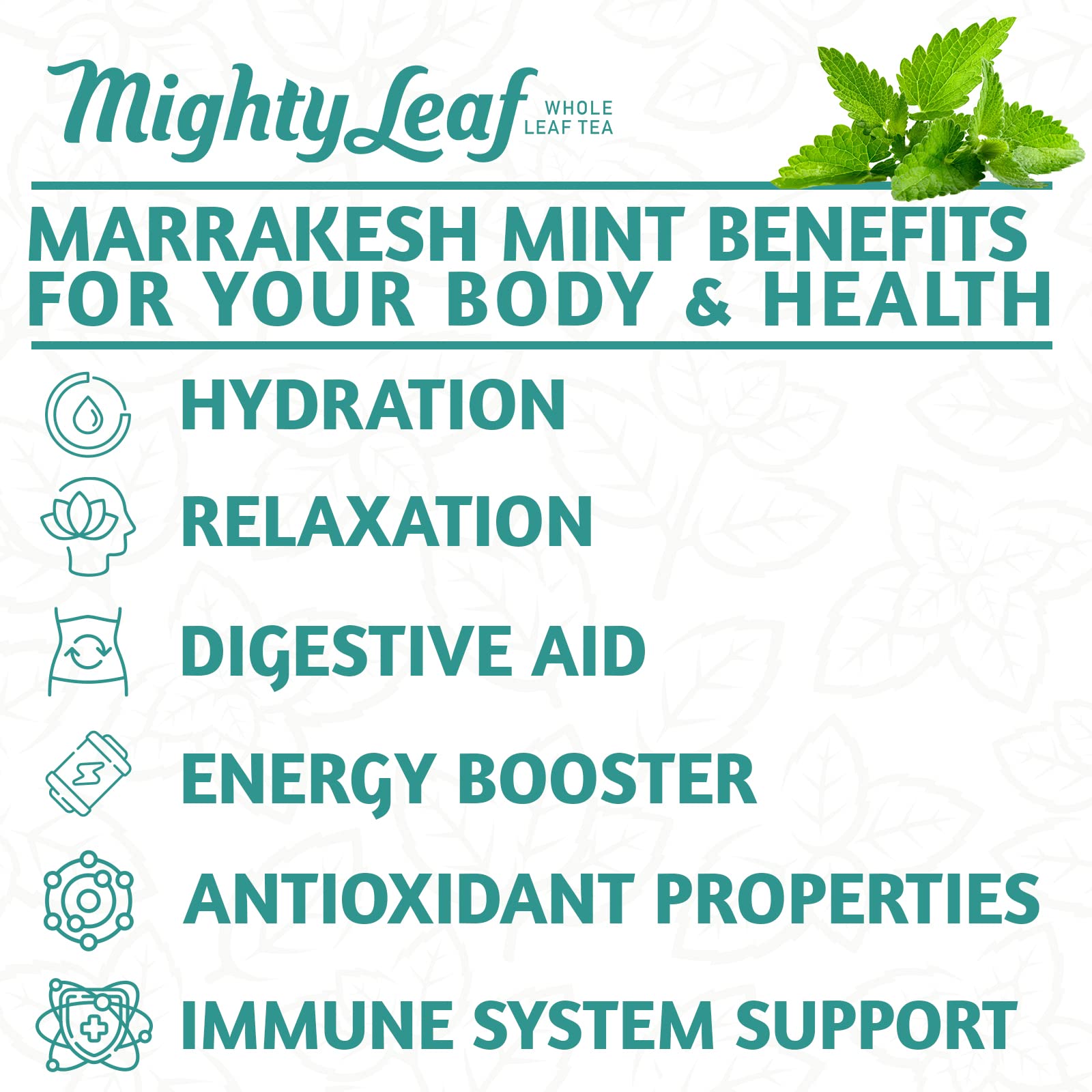 Mighty Leaf Marrakesh Mint provides a gentle caffeine lift for daytime sipping.