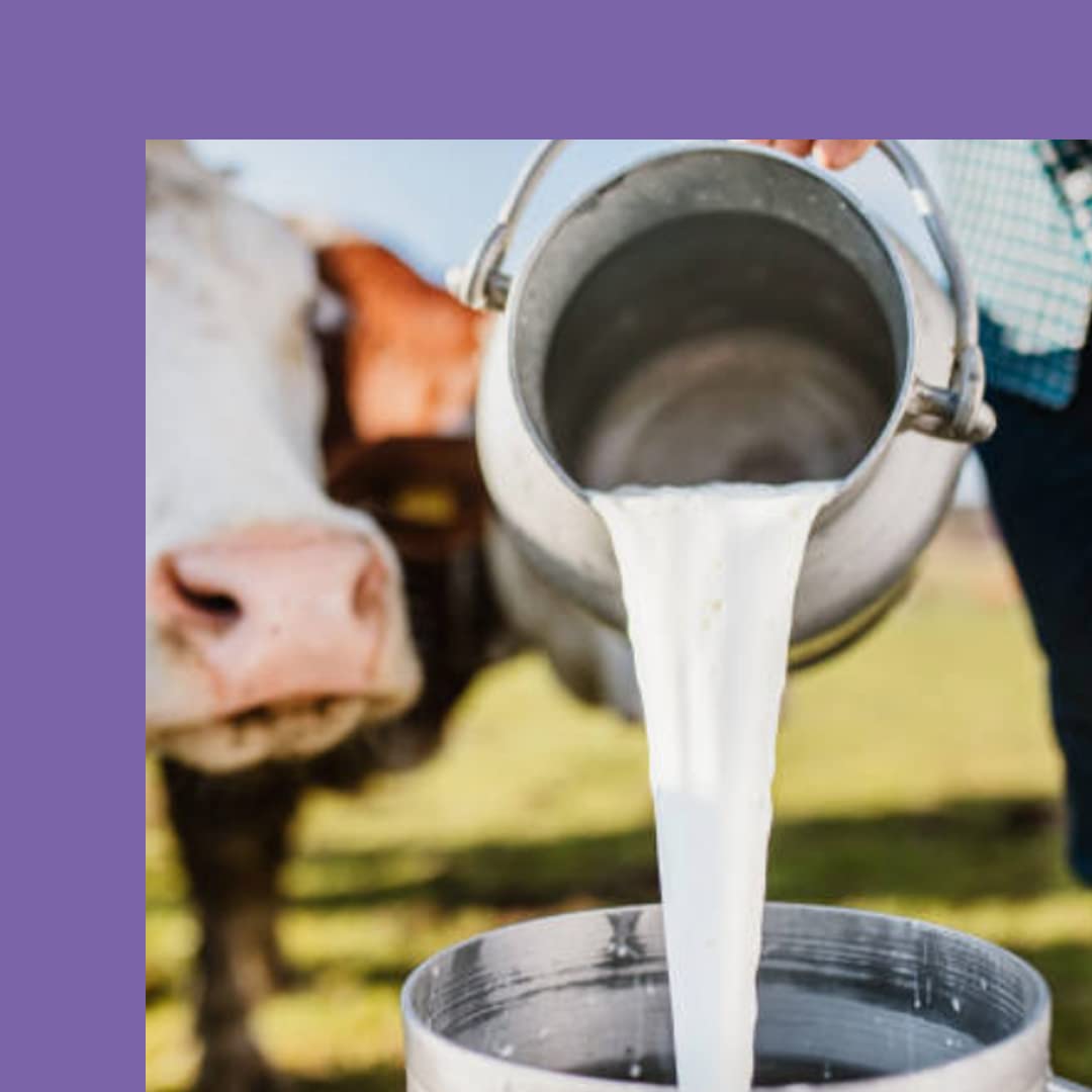 Milka White Chocolate 90g with coffee pairing suggests a comforting afternoon break.