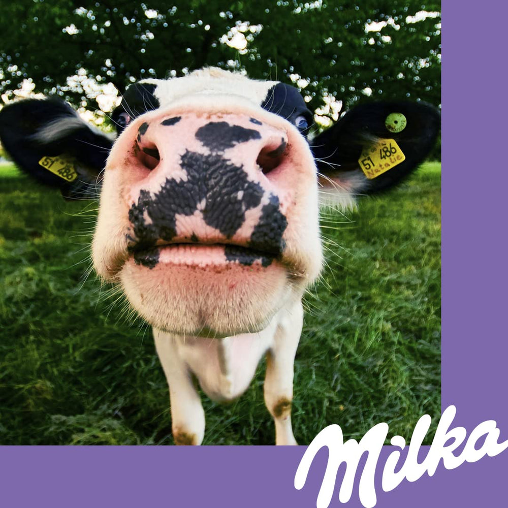 Milka White Chocolate 90g tea time pairing idea.