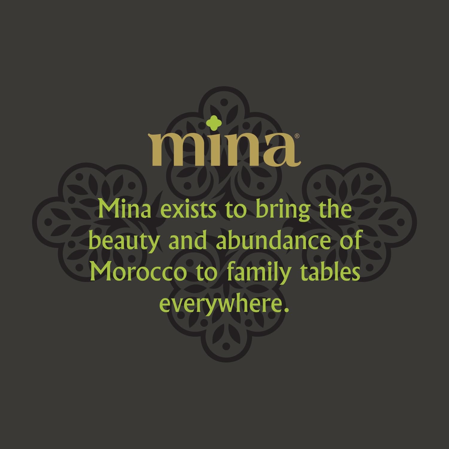 Mina Moroccan Olive Oil tree-farm origin scene.
