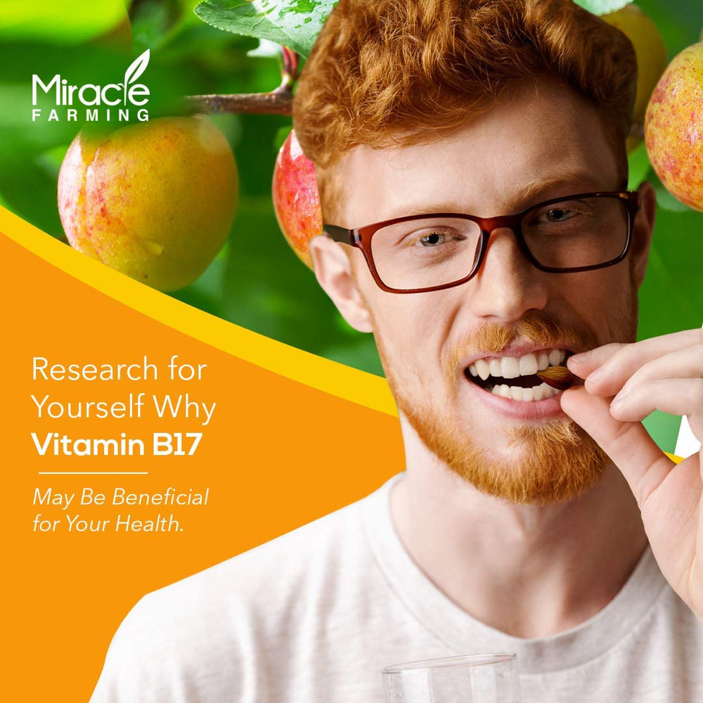 Large Miracle Farming apricot kernels provide a natural vitamin B17 source.