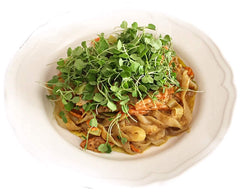 Miracle Noodle fettuccine with sauce on a plate ready to serve