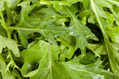 Mizuna leaves maturing quickly for harvest as baby greens in soups and salads.
